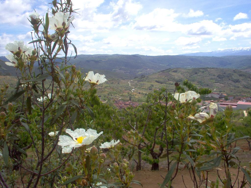 Hotel Rural Sierra De Francia Sotoserrano Dış mekan fotoğraf